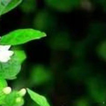 对的人兜兜转转最后还会遇见，也总有一个人带着沉甸甸的爱穿过汹涌的人群奔向你 