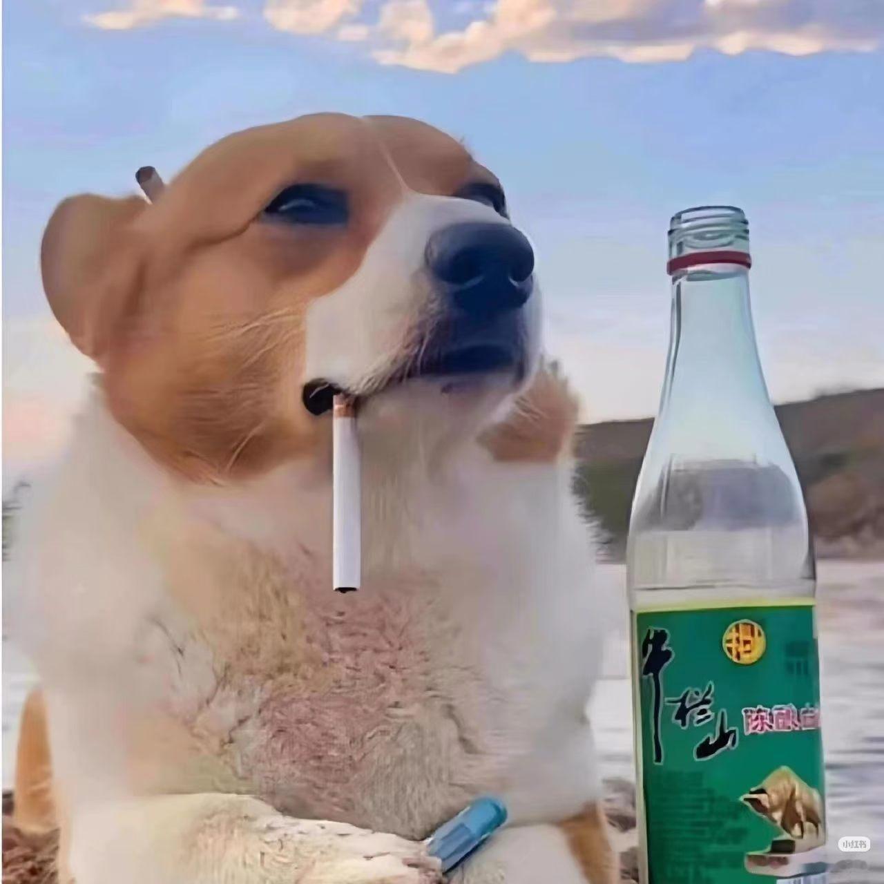 普通人现在能够享受的事情有哪些？
第一，自由，这是目前普通人能够享受到最大的事情