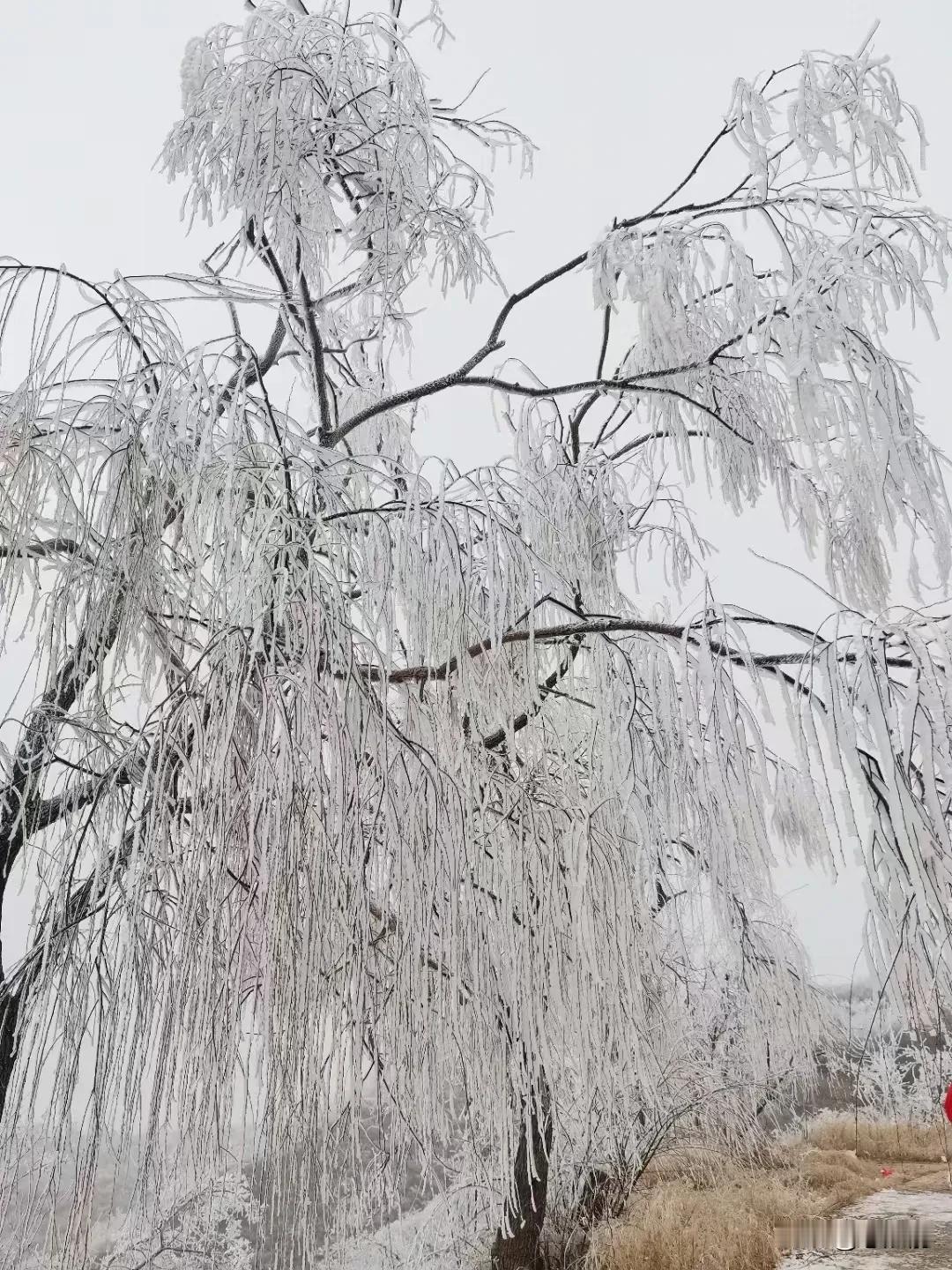 三年学说话，一辈子学闭嘴
头条上有许多关于退二线干部的文章，有的不甘、有的颓废、