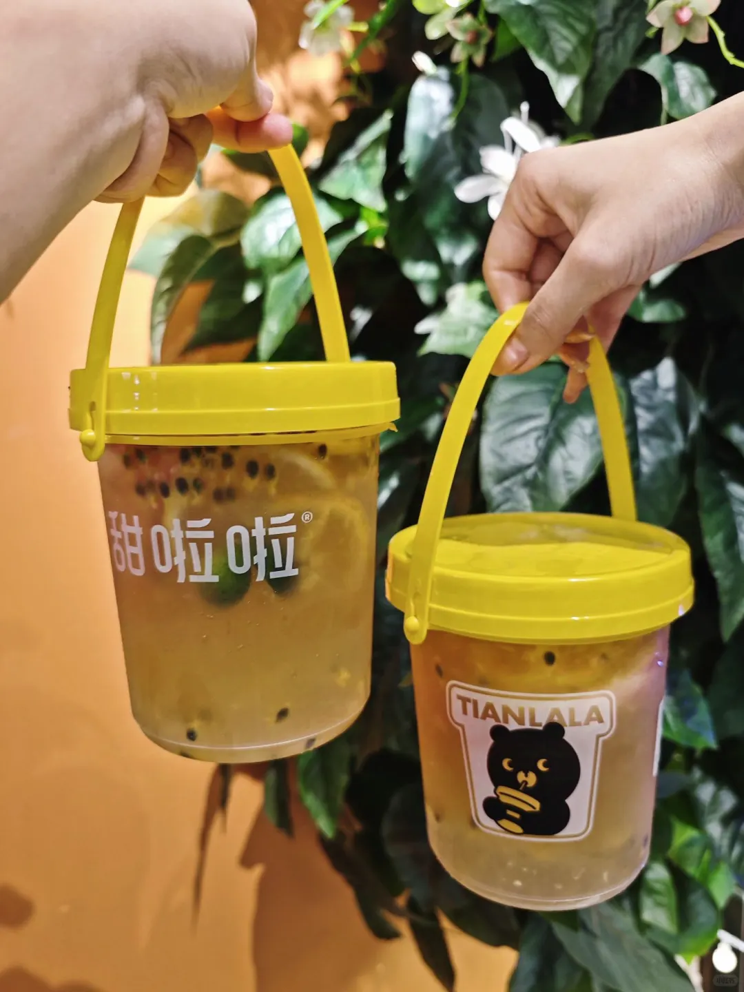 中山丨💰10块一大桶的水果茶！