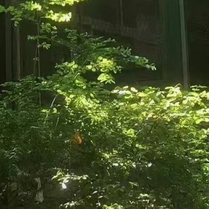 当处于人生低谷，每一步都是上坡路，只要沉得住气，扛得住难，总有拨云见日时。早上好
