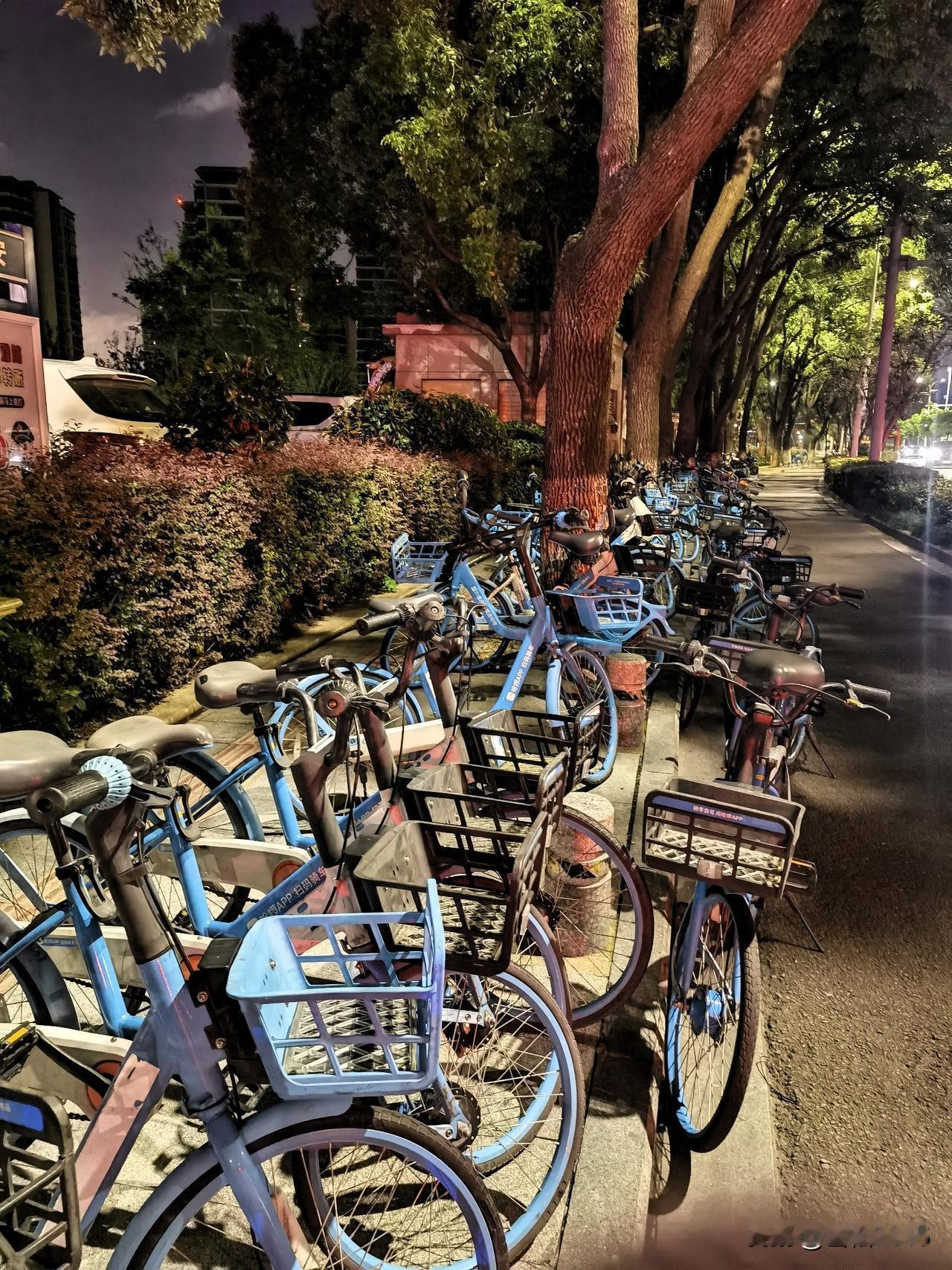 泛滥成灾的共享单车，又该整顿了

夜晚散步，又被路边的单车长城惊呆了，共享单车堆