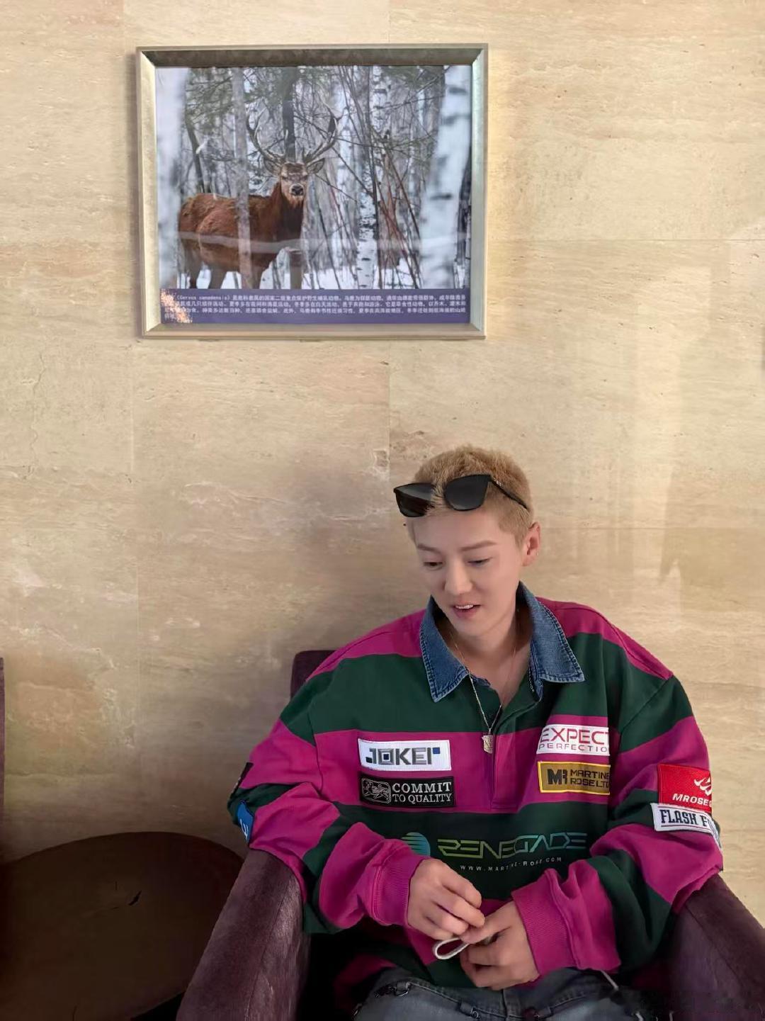 鹿晗说这只鹿和他名字就差一个字 鹿晗的小鹿奇遇记图中有两个小鹿很可爱~ 