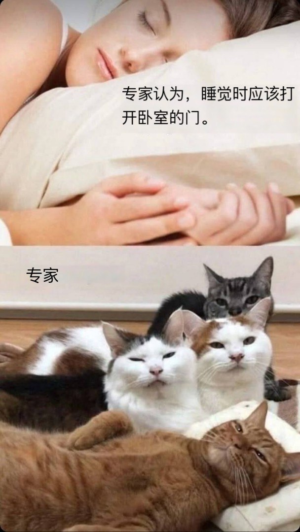 听专家的 ​​​