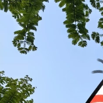 每日一善[超话]阳光信用每日一善 善是一种自然的流露，没有一点造作，没有一点企求