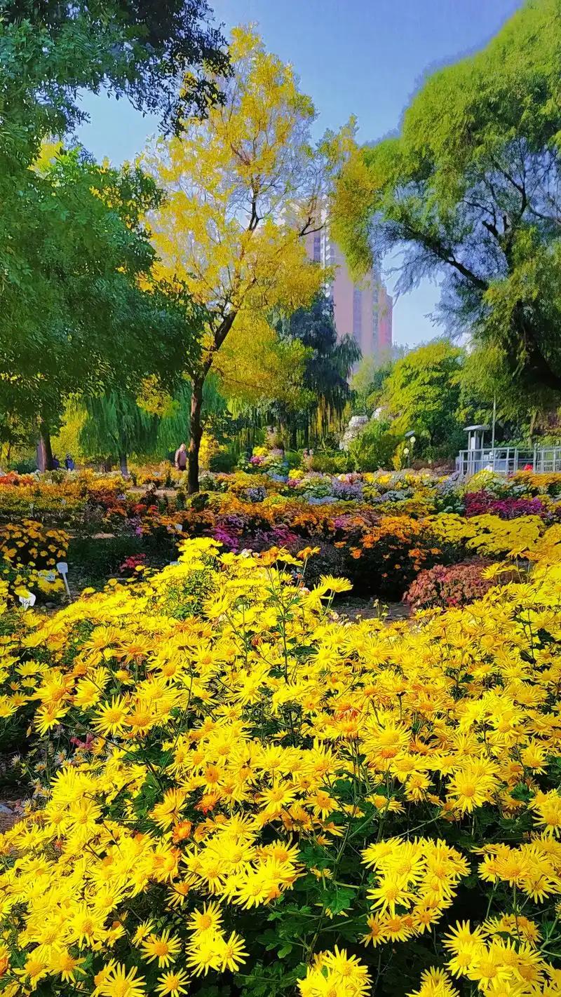 现在越来越多人开始关注养生，不是说要追求什么“长生不老”，而是实实在在感受到，好