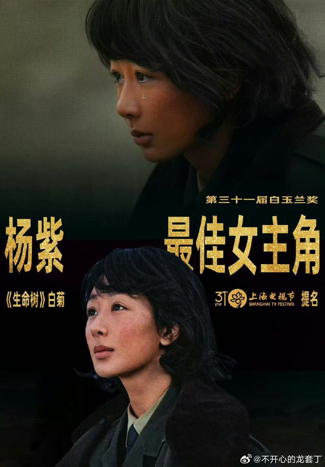 于和伟视帝杨紫视后于和伟杨紫封白玉兰视帝视后哇！太牛啦！ 