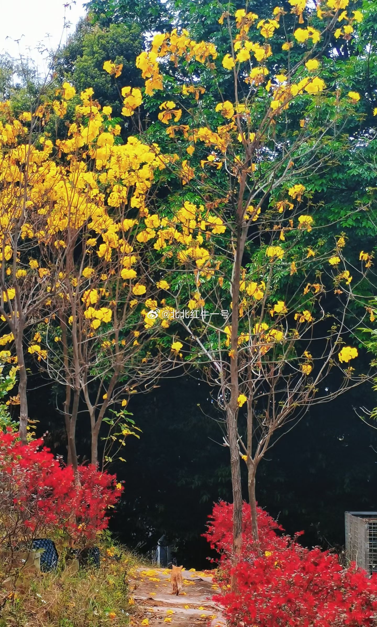 今晚2.5亿股民慌了！刚刚A股传来重磅提醒！周一A股单边暴跌，三大指数均跌超3%