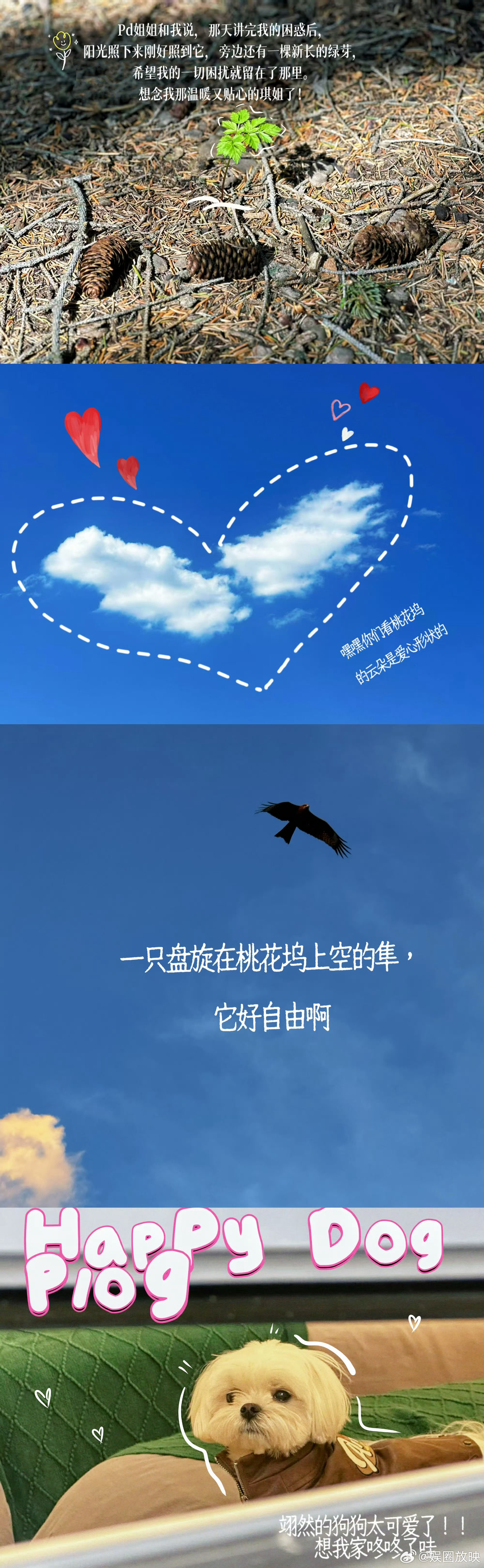 蔡文静说桃花坞像一场梦我滴天，蔡文静手绘告别桃花坞太戳心！用画笔定格晚霞海风，把