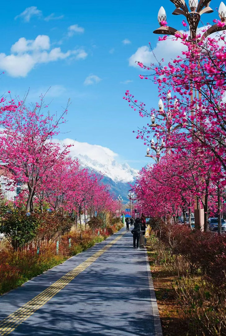 人前的风光，其实根本安顿不了自己，总是有人比你更风光；人后的精致，才是自己的归宿