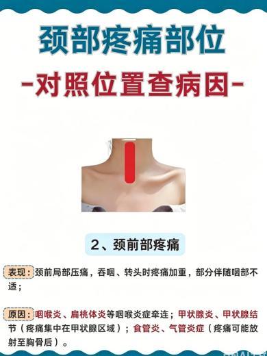 脖子疼真别一概当成落枕揉，不同位置疼，病因差得特别多。爱康国宾整理的颈部疼痛位置