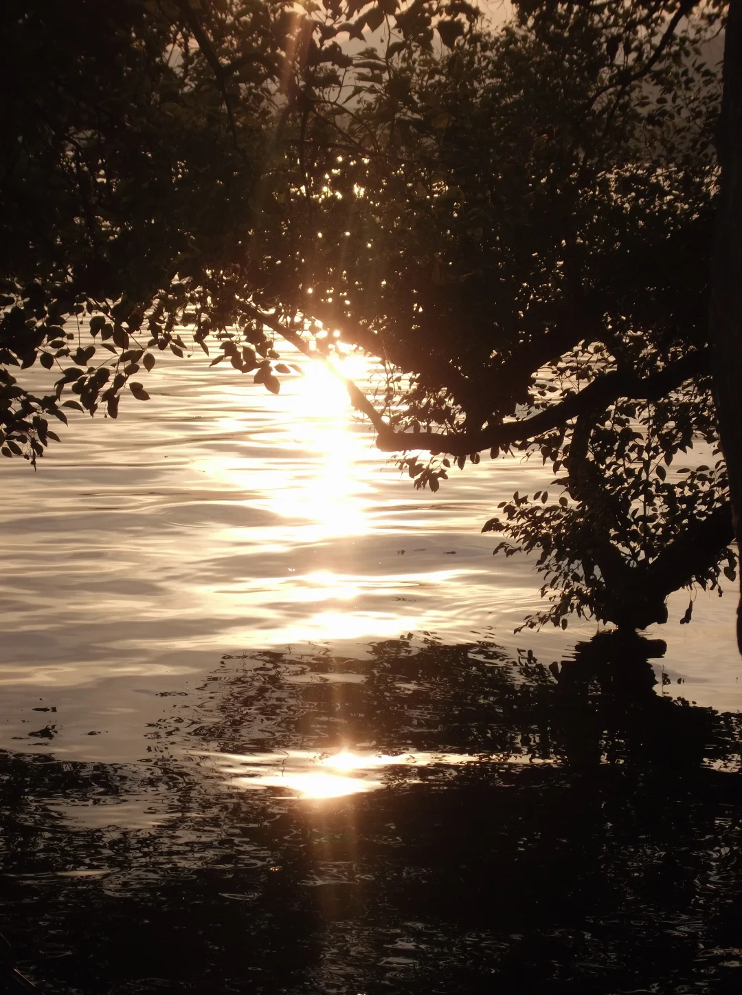 一些ccd里的记忆