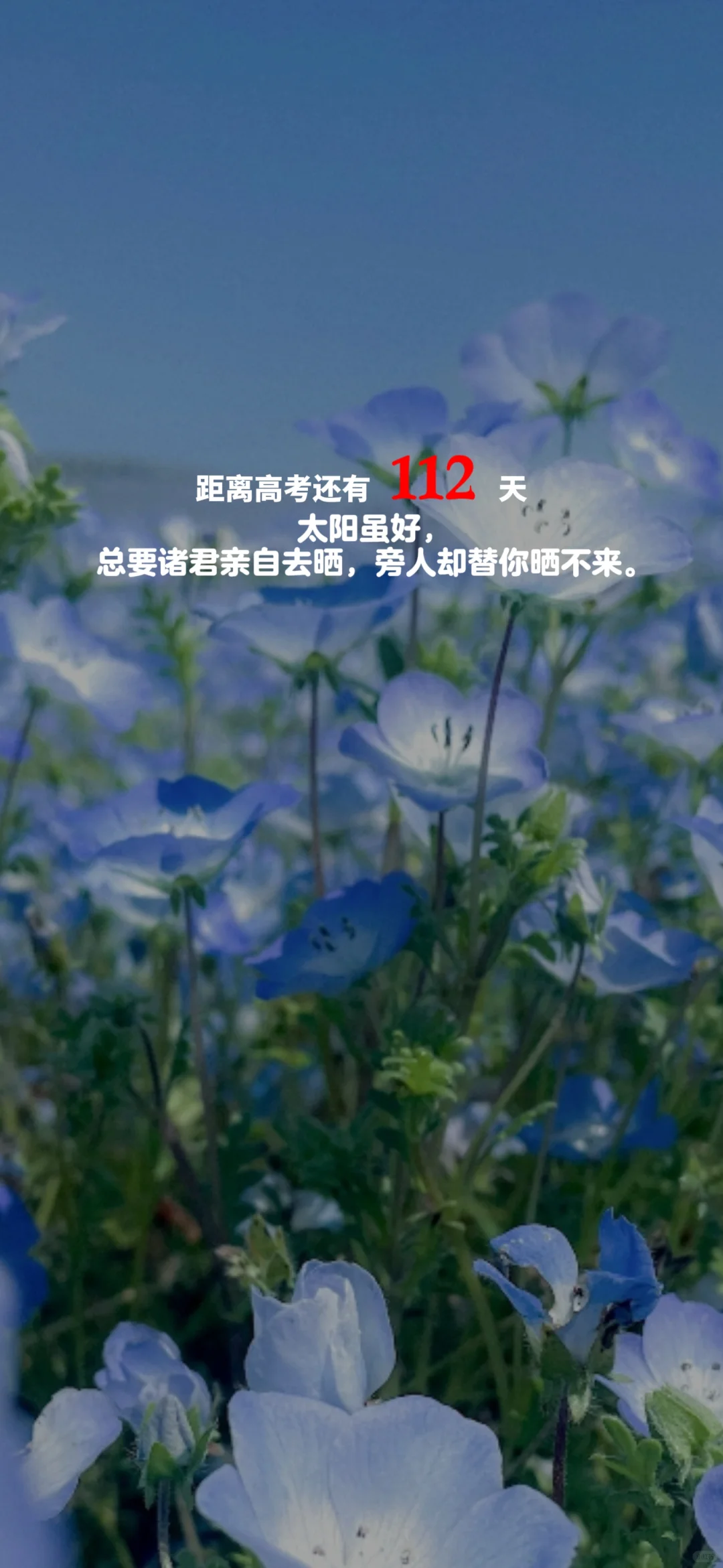 2025高考倒计时，每日更新。