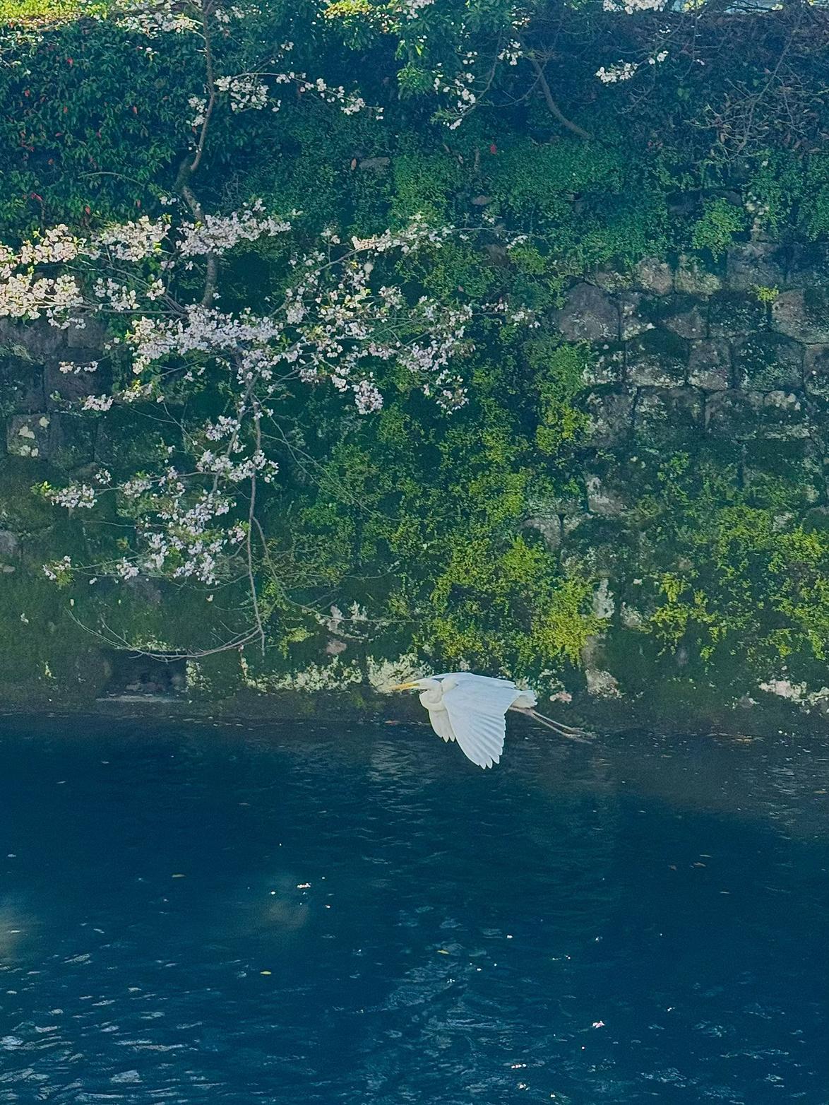 我的今日状态：😁轻松愉快
我这里的天气：☀️晴天