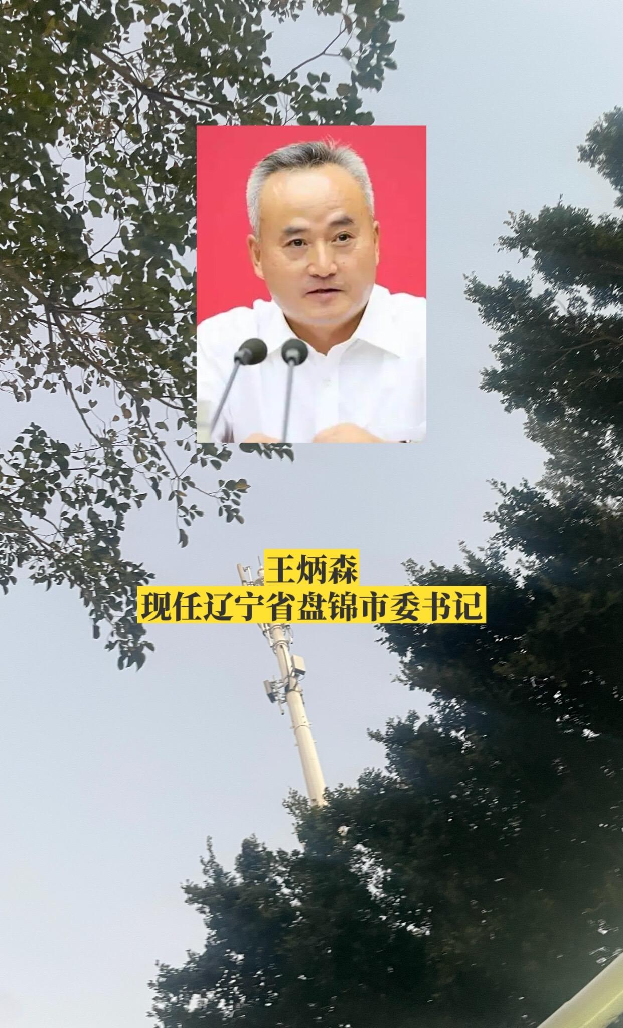 辽宁盘锦市委领导。