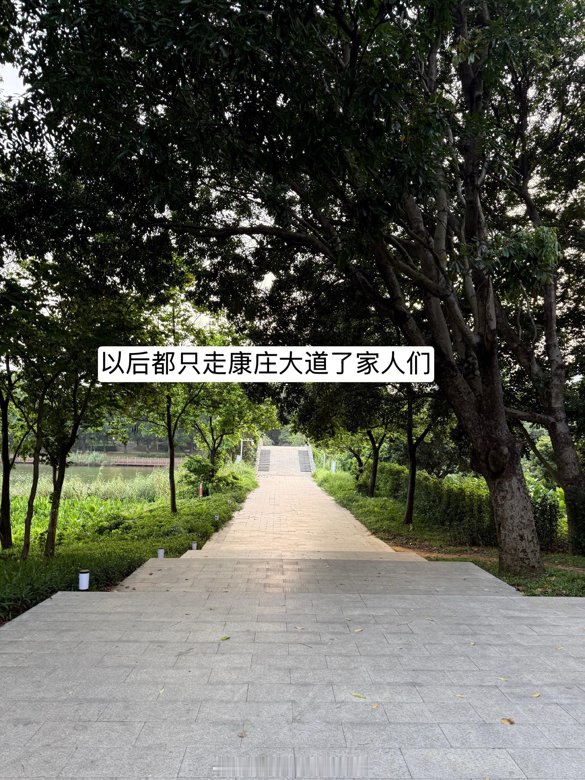 想不到吧 还有 