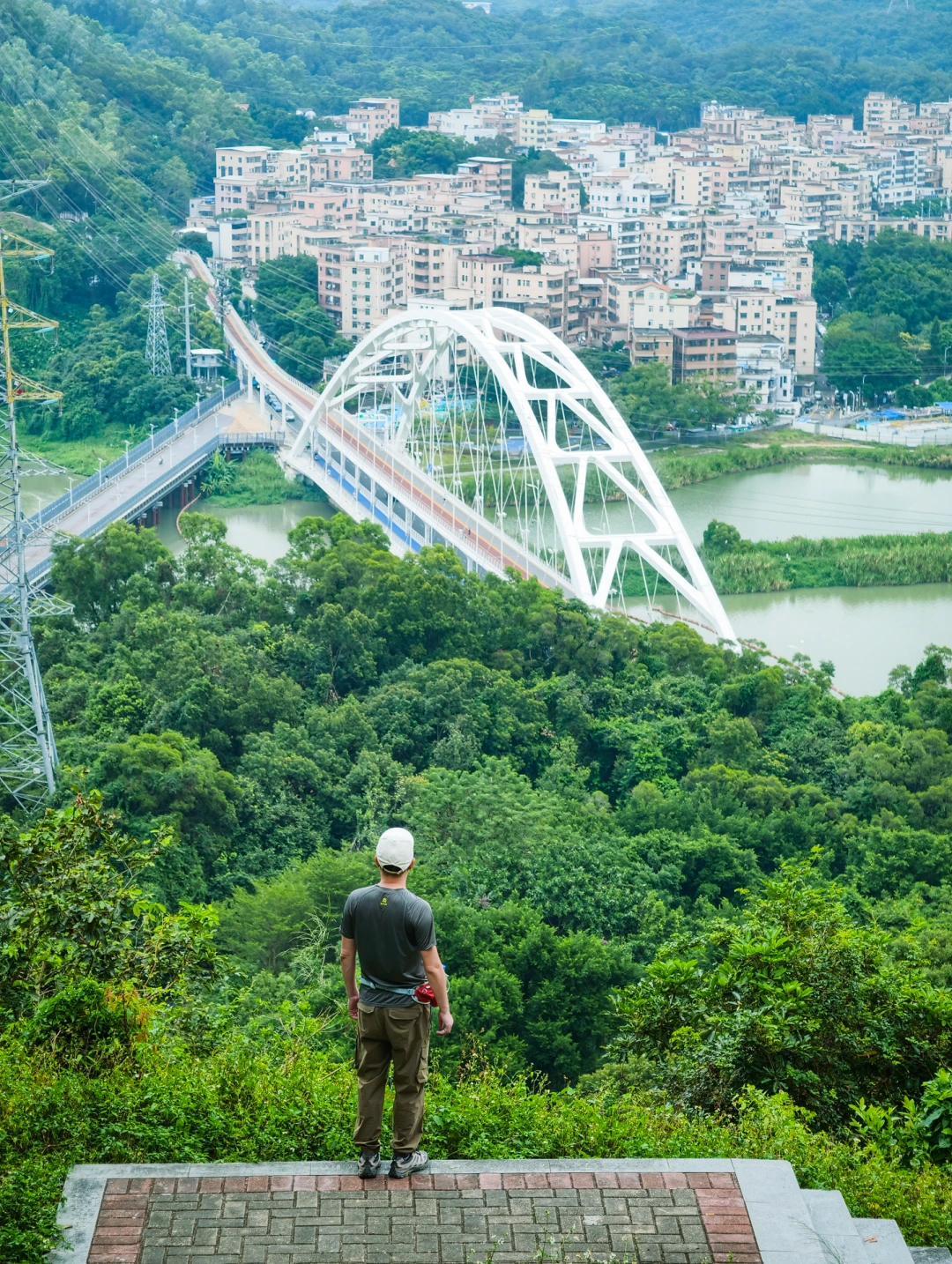 这个角度的大望桥真的很绝📸