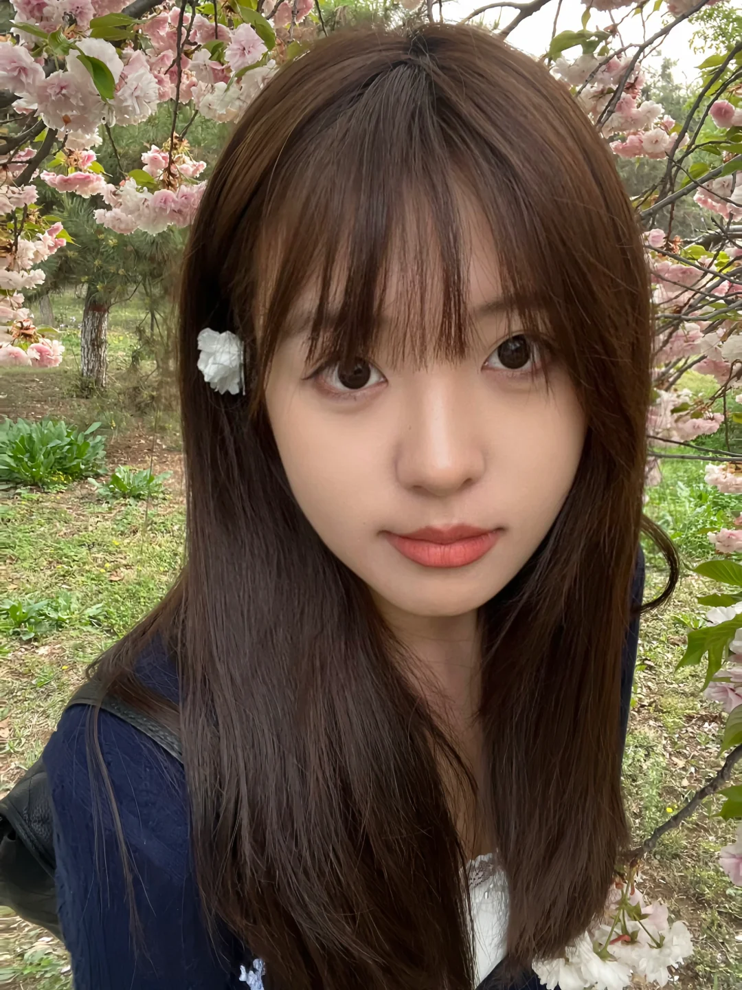 樱花这样拍哦