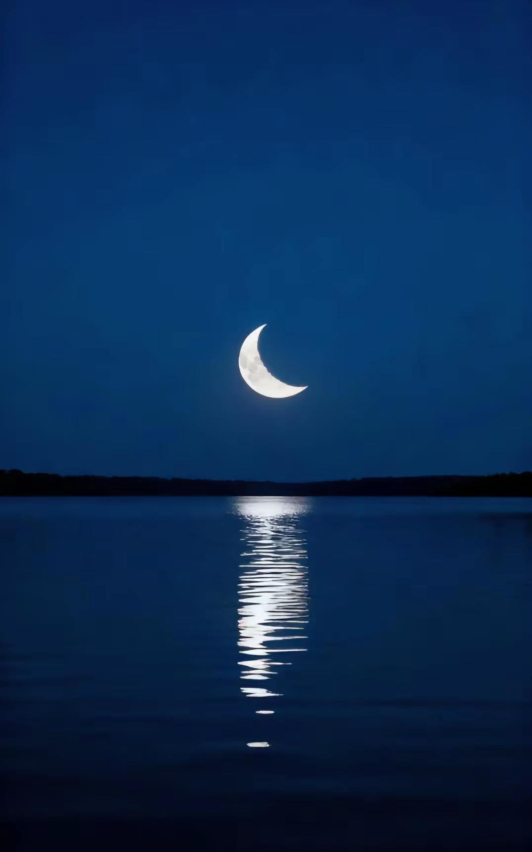 六：我听广陵散
我听广陵散：
风摇绝壁松，深根颤动动，石落沙砾纷，行径移步沉，沙