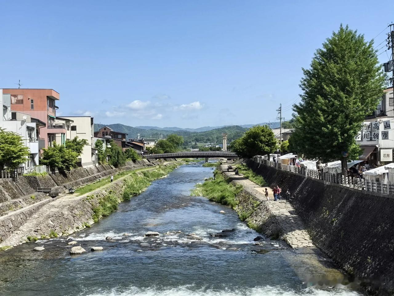 去长野县上高地徒步前，早上特意挤出一个小时来逛逛飞驒高山的宫川朝市，运气好刚好大