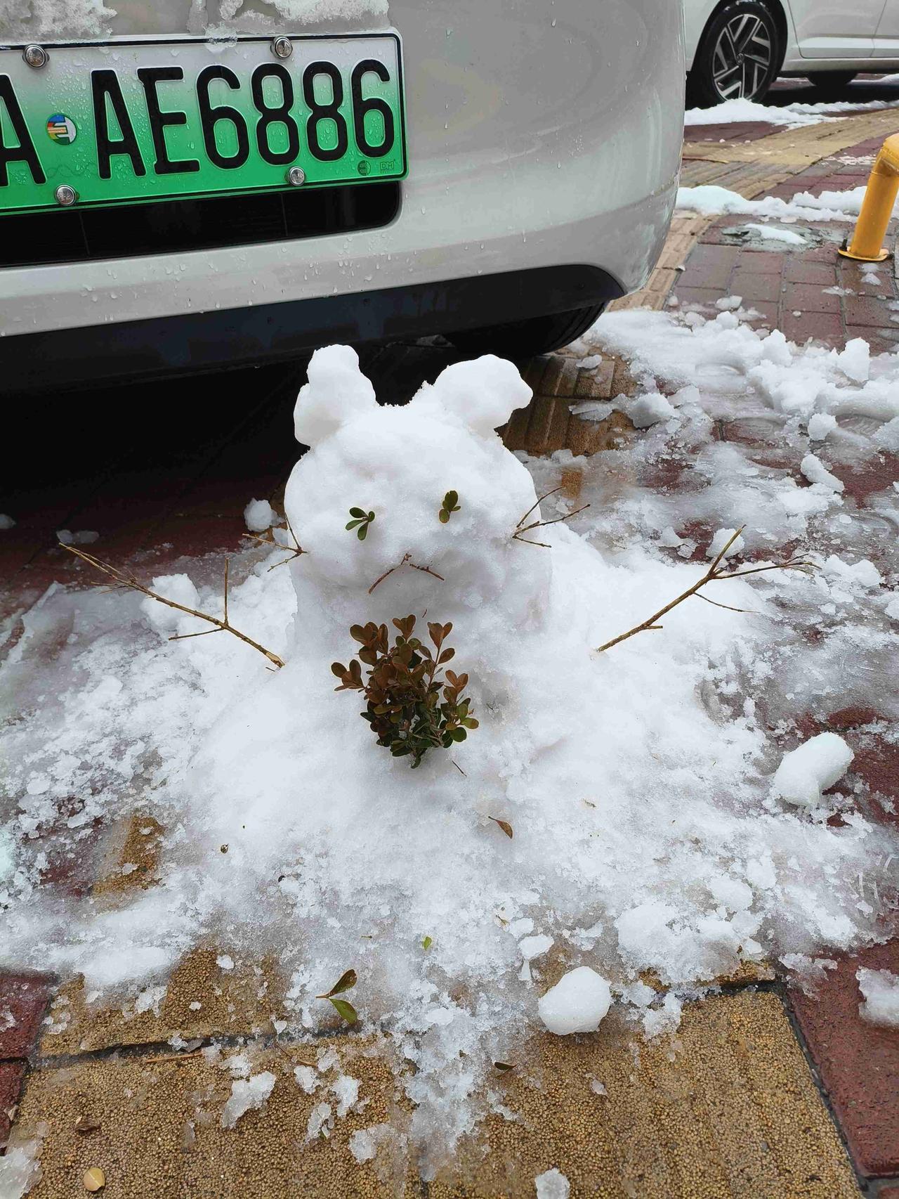 我的今日状态：😁轻松愉快
我这里的天气：❄️下雪