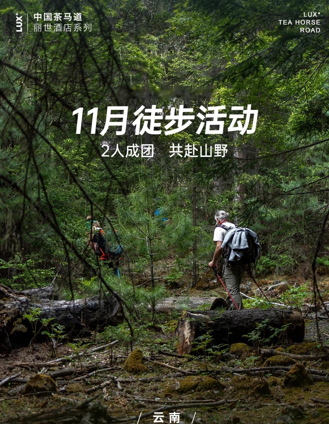 11月徒步活动｜抓住最后一批金色秘境🍁
10月接近尾声，还没来过云南徒步吗？！