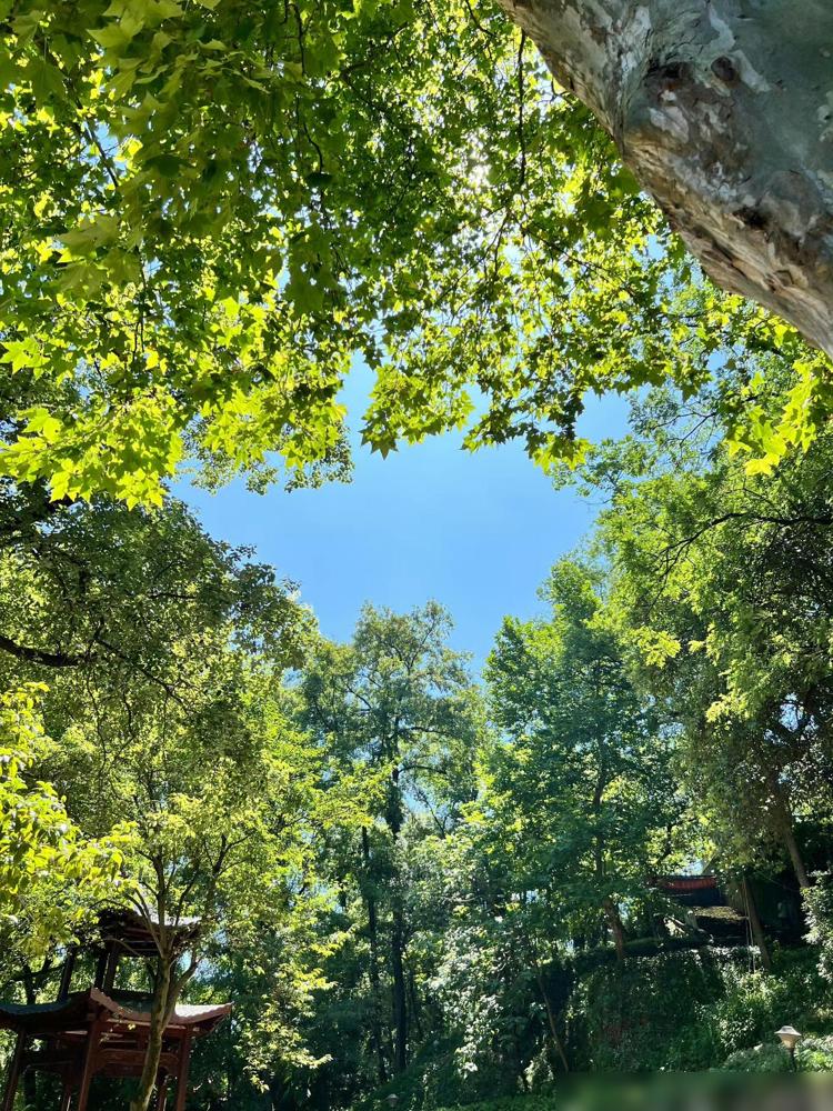 在医院医务处上班，每天挺无语的是——一天最少4-5个没事找事的病人投诉。

干我