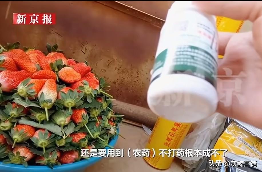 商人逐利没有问题，
但如果不顾安全和人的健康，
这是人性之毒。
看到毒草莓这样的