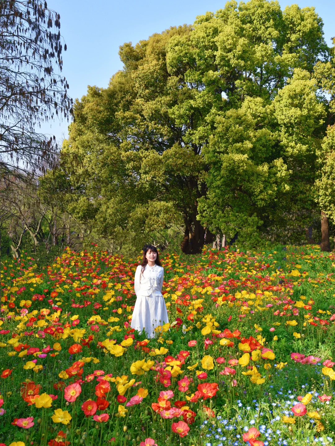 4.2日上海共青森林公园📍不能错过4个拍照地