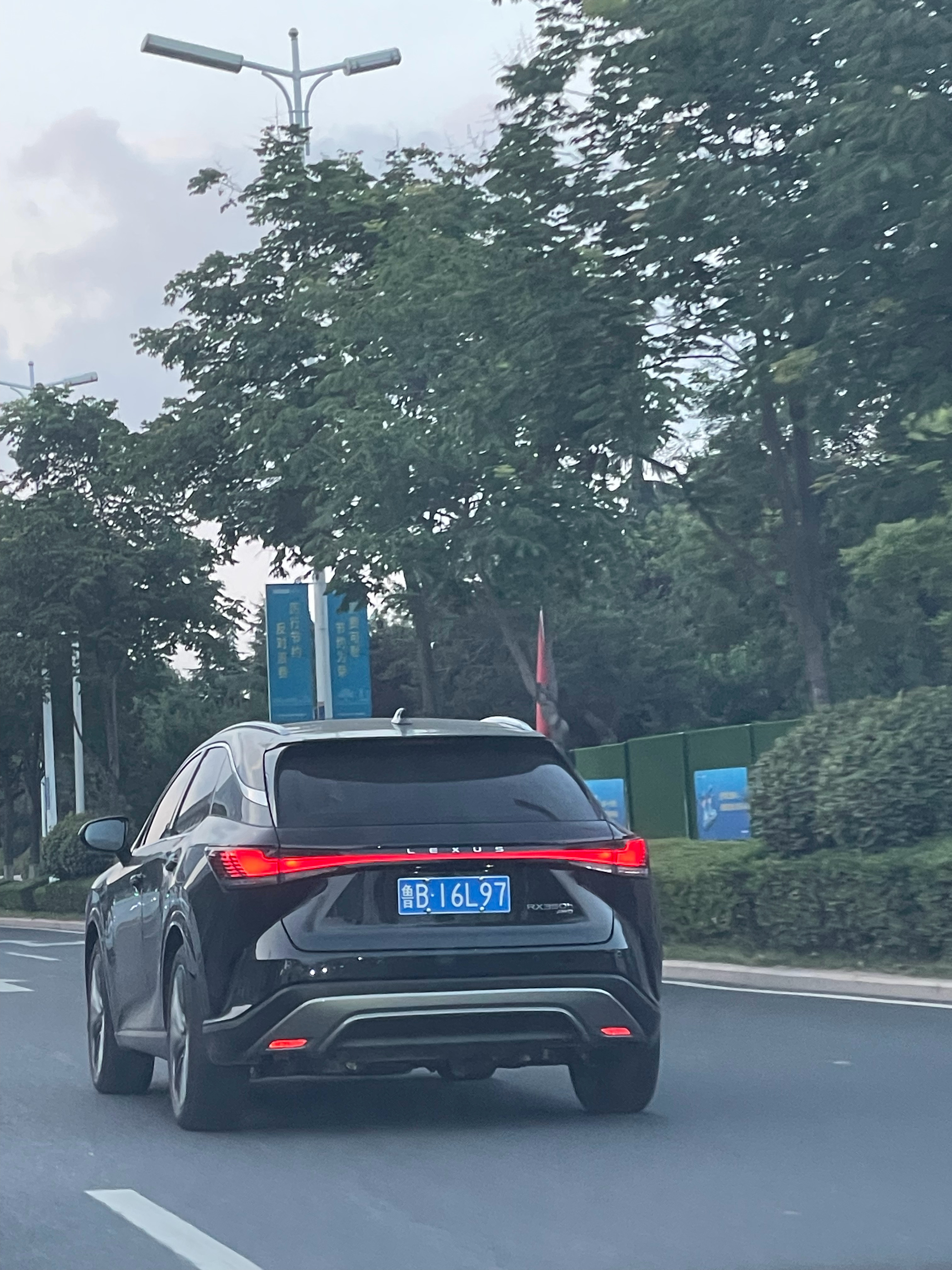 分享图片 ​​​