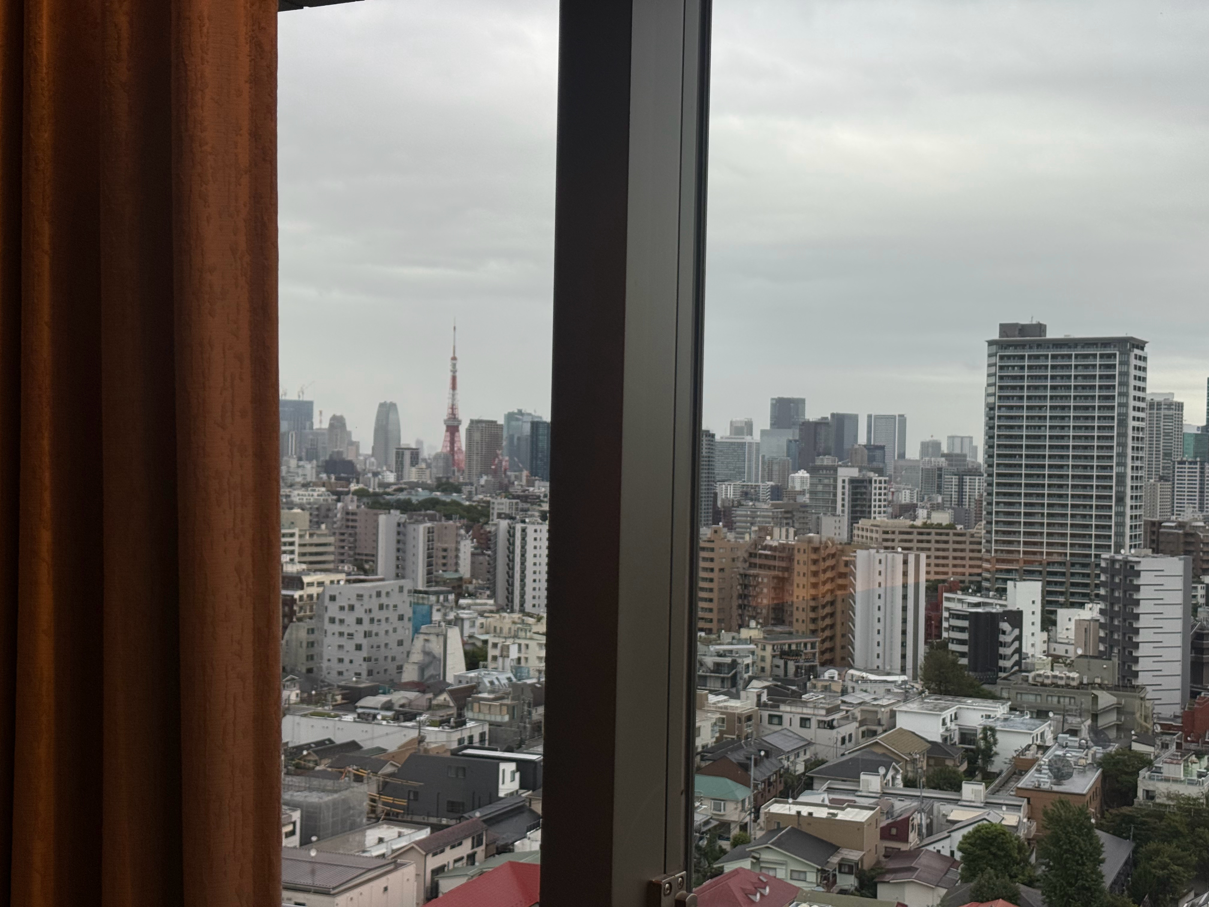 🗼 ​​​