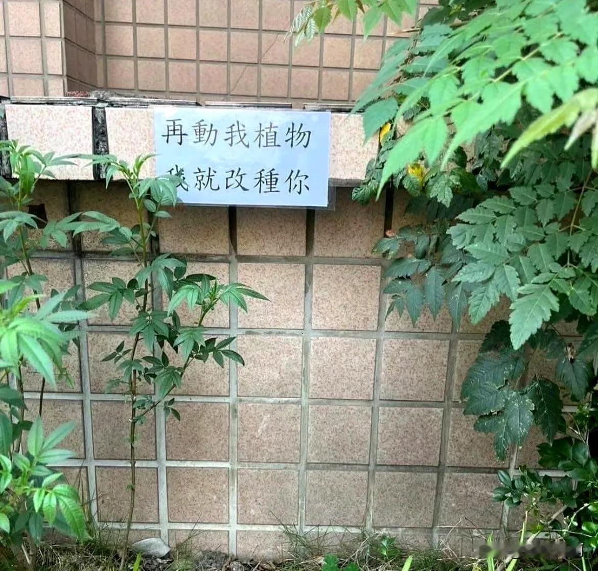 哈哈哈哈哈哈哈……