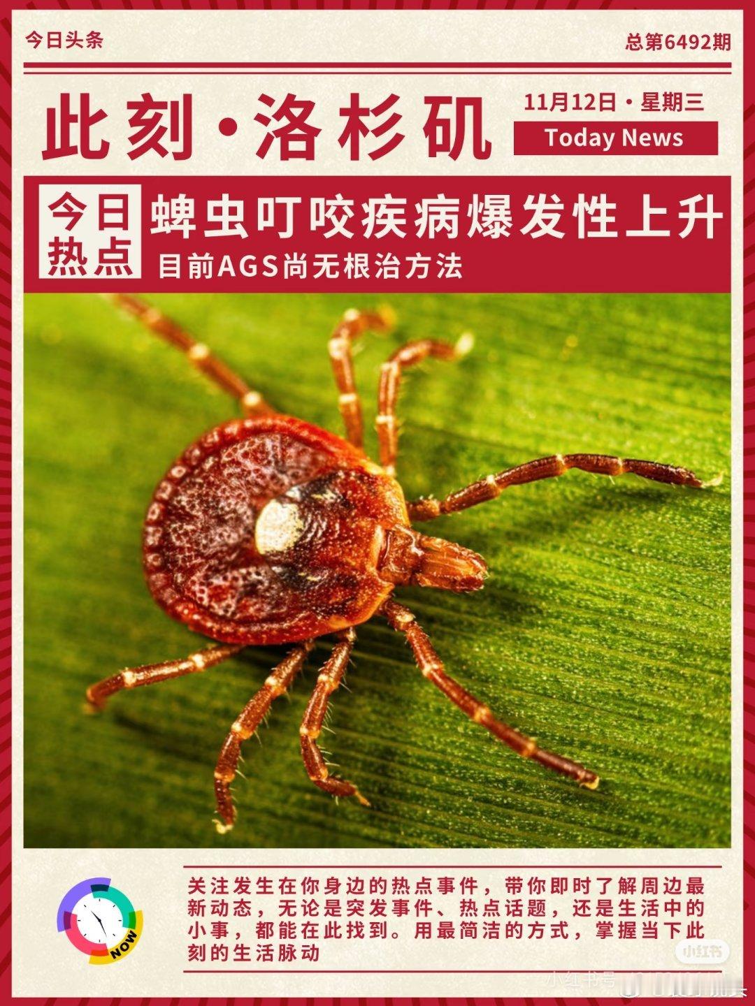 蜱虫长得就很吓人，而且可以会传染各种疾病。一种曾罕见的红肉过敏疾病——alpha