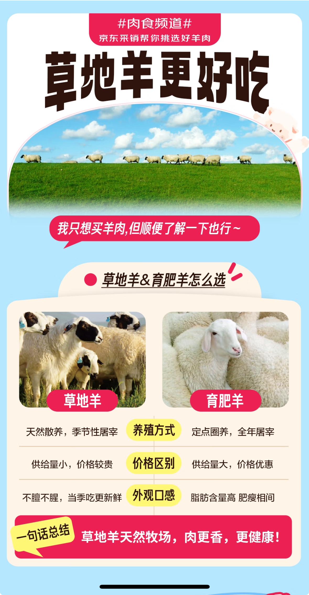 在今年9月22日全国丰收节之际，内蒙古自治区锡林郭勒盟迎来了首个全区草地羊出栏仪