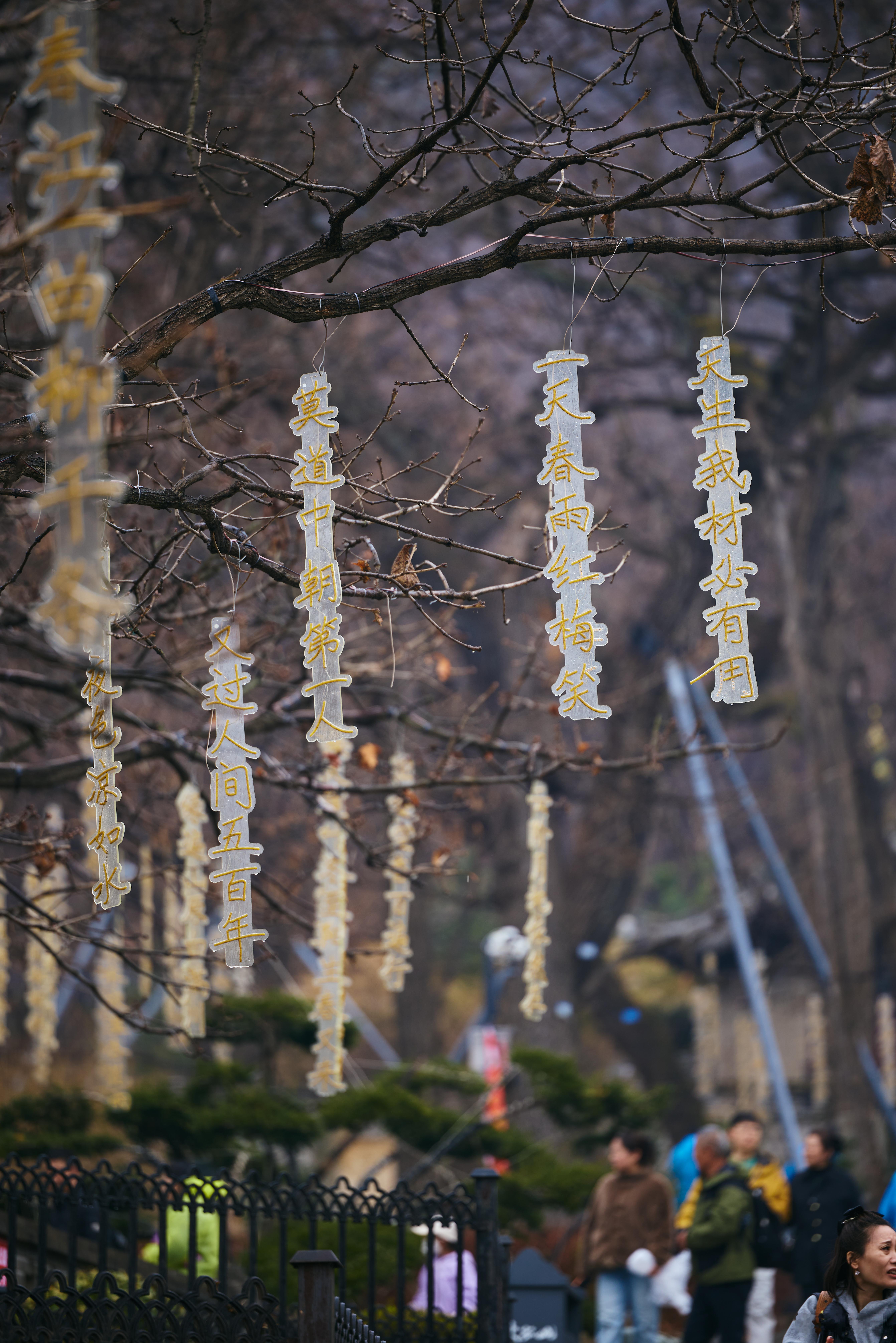 山门、古街、砖雕、古树、天后宫、玄都宫……大孤山像一条很完整的情绪路径。前面让人
