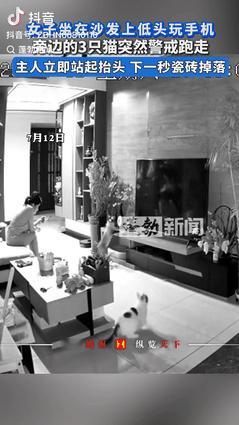 “这要砸到人咋办！”山东一女子坐在沙发上低头玩手机，旁边趴着的3只猫突然伸长脖子
