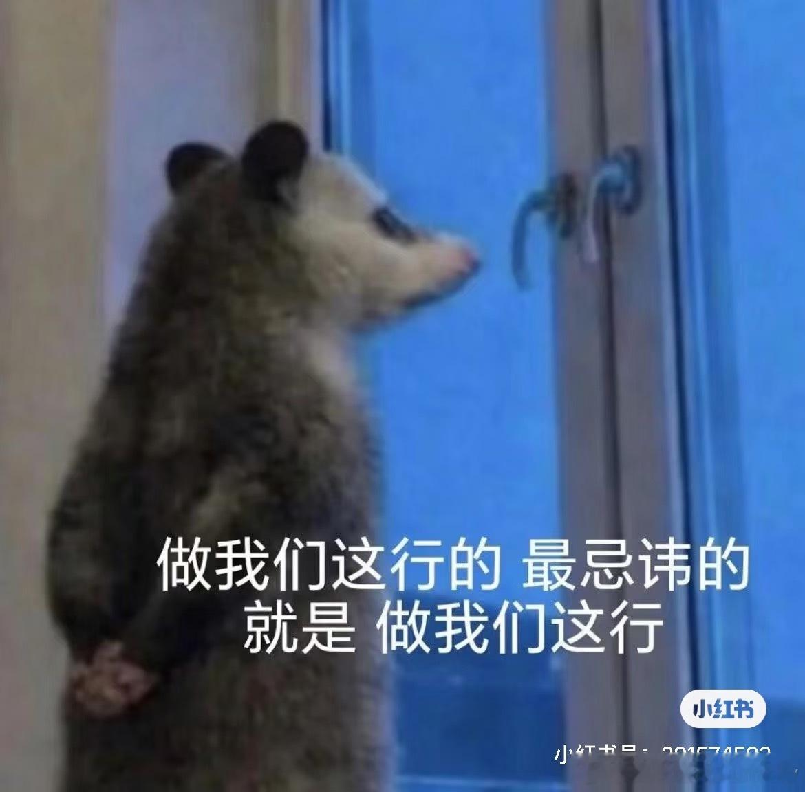 谁的生活没有艰难险阻？郑钦文的奥德赛时期，喜欢她的人陪她一起度过就好了！虽然我人