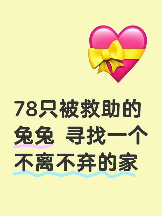 领养替代购买，ta的一生将因你而改变