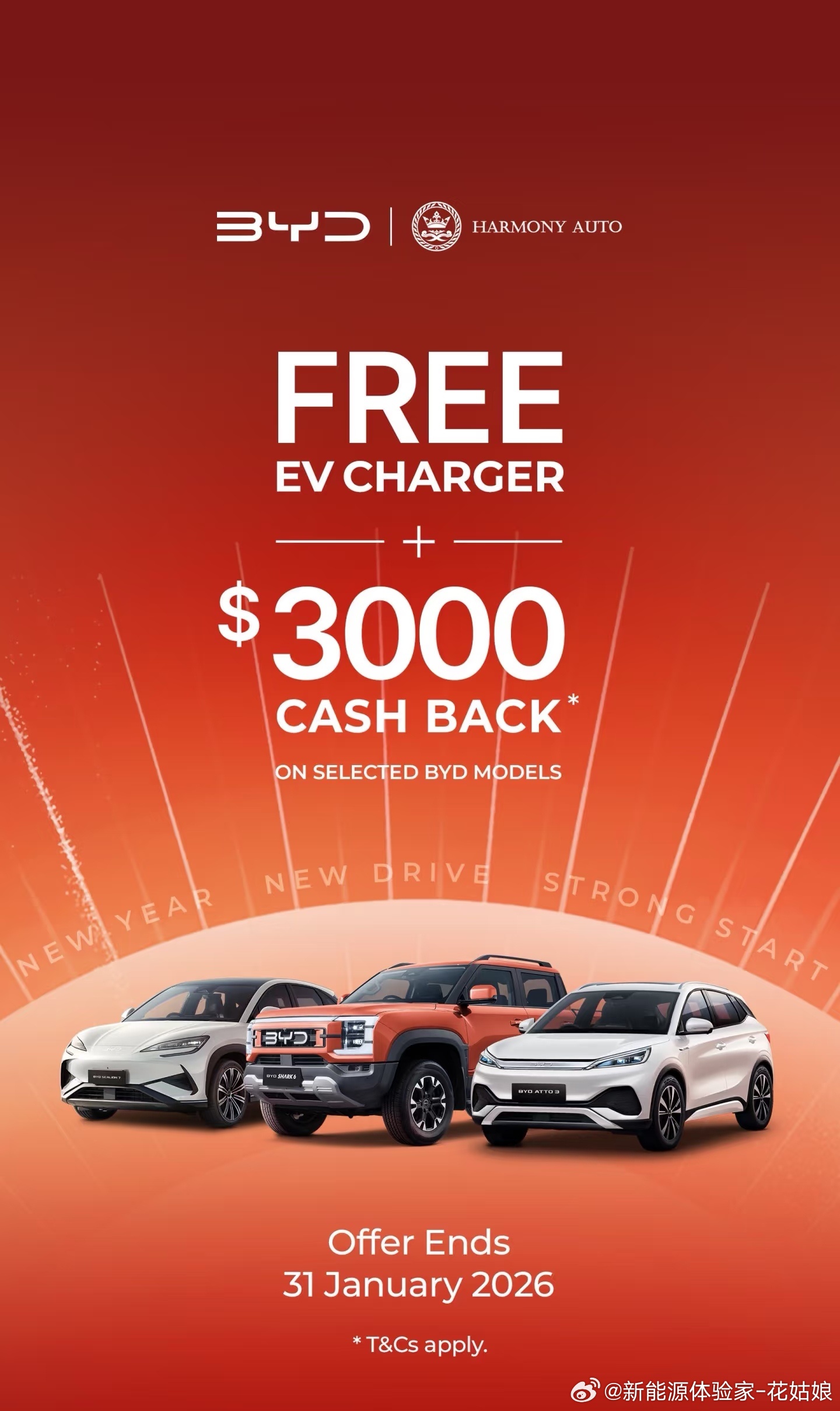 比亚迪澳洲杀疯了！1月销量狂涨641%达5001辆，竟是特斯拉的5.5倍，起亚5