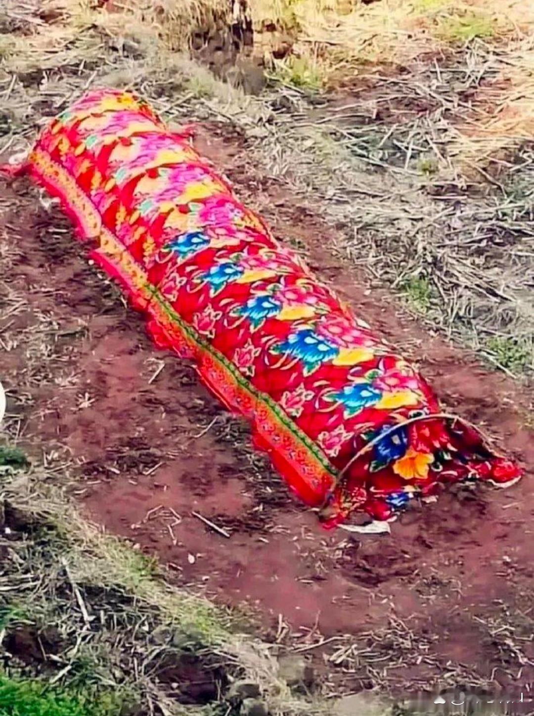在乡间游玩时，我停在一片草地准备小解，却意外目睹一幕让我浑身发抖的场景。 ​​​