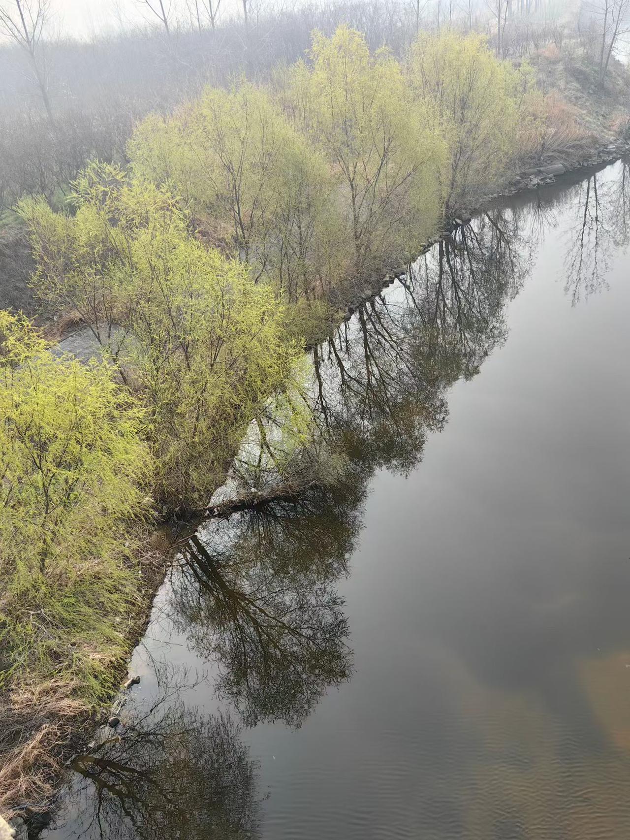 饭前记。吃饭前，还有点时间，写几句。现在流行一个词叫精神小妹。精神小妹崩老头是一
