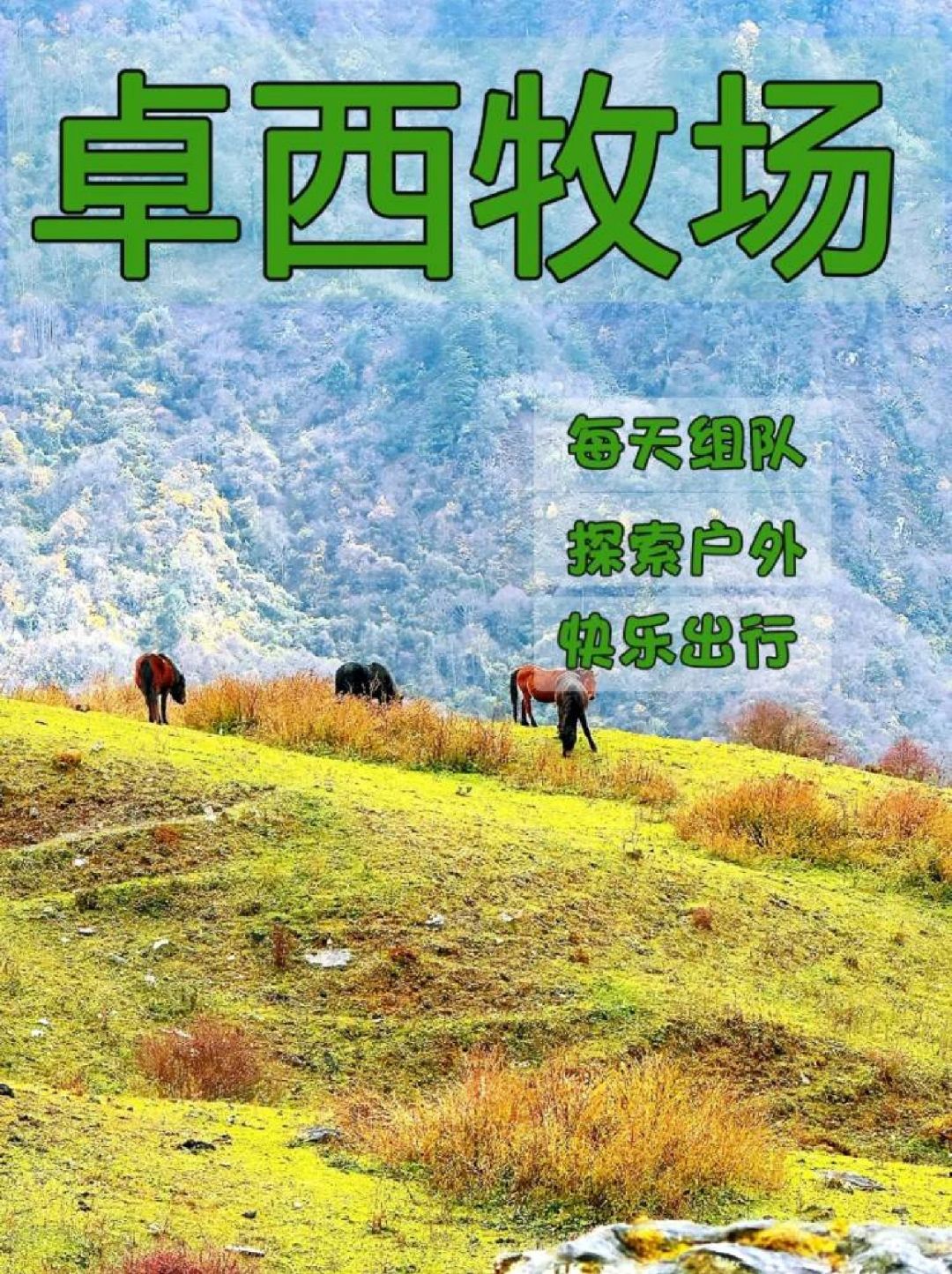 成都徒步爱好者的福音来咯❗户外旅行招募中