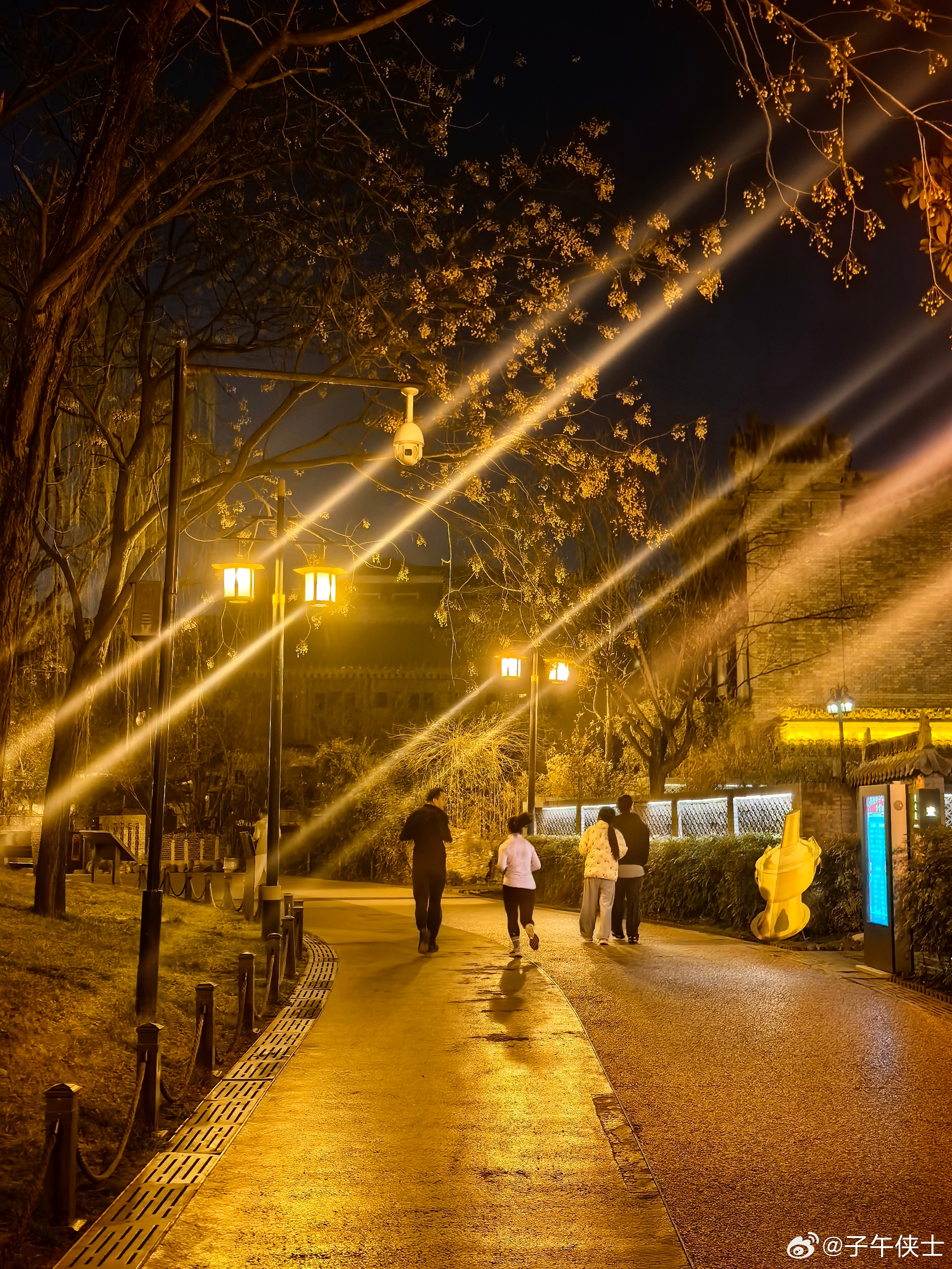 每逢佳节胖三斤，恢复夜走模式，甩膘在行动。 