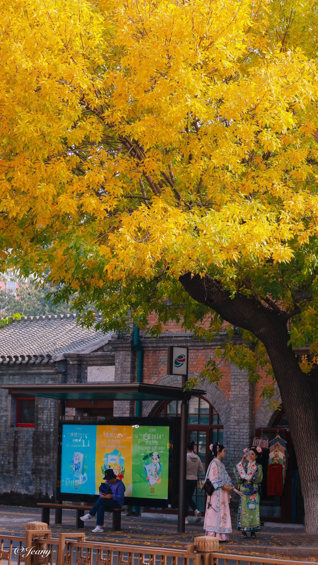 刚到北京📍就打卡五四大街赏帝都秋景🍂