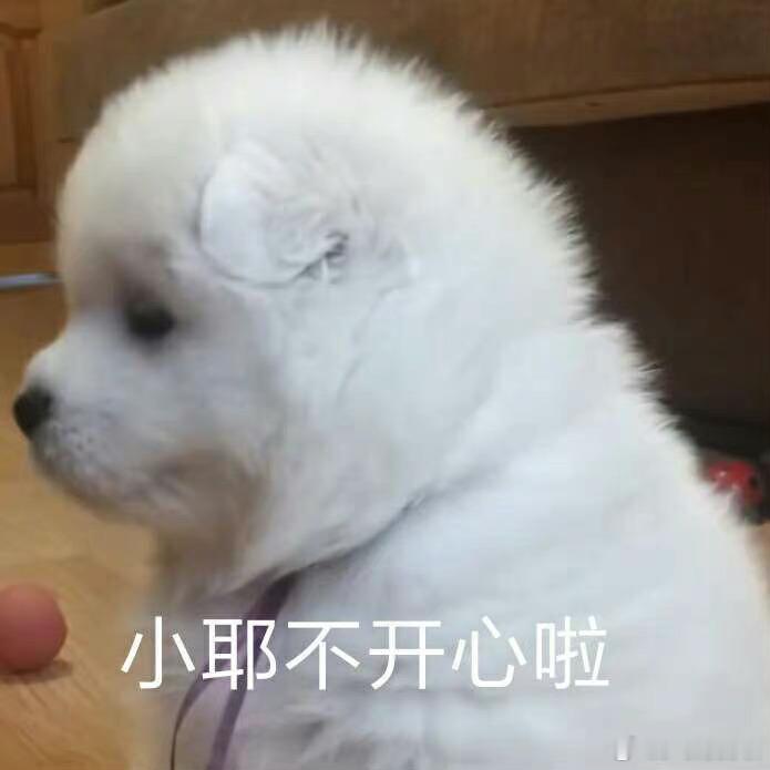 早知道早上通勤就打车了结果因为买杯子把多的钱都花出去咯思维清奇咪