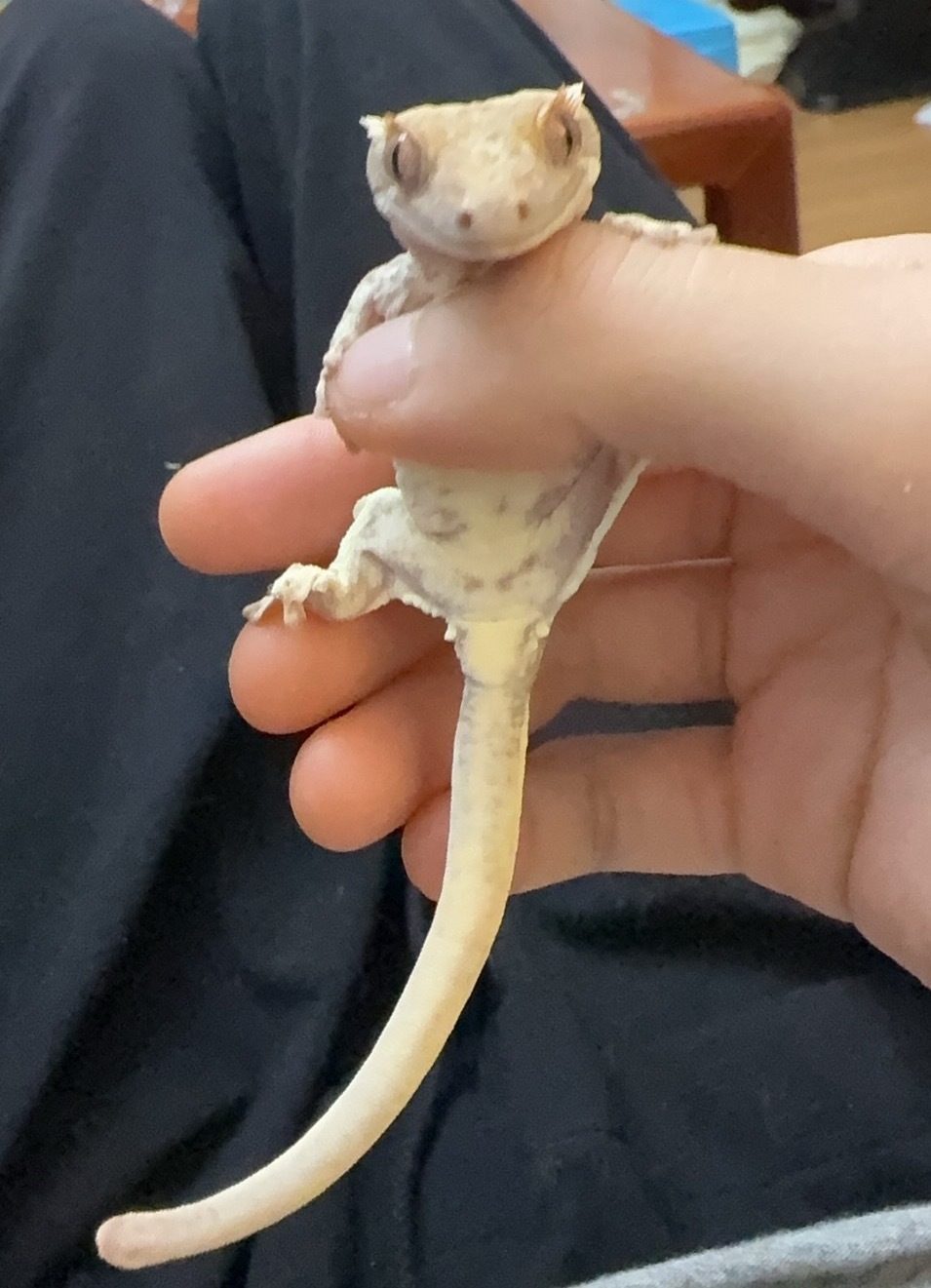 孩子太可爱了