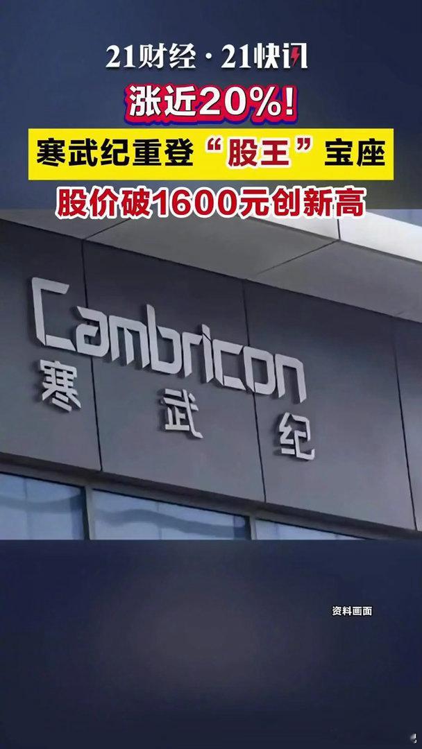 涨近20%！寒武纪重登股王宝座寒武纪股价破1600元创新高4月30日，寒武纪重登