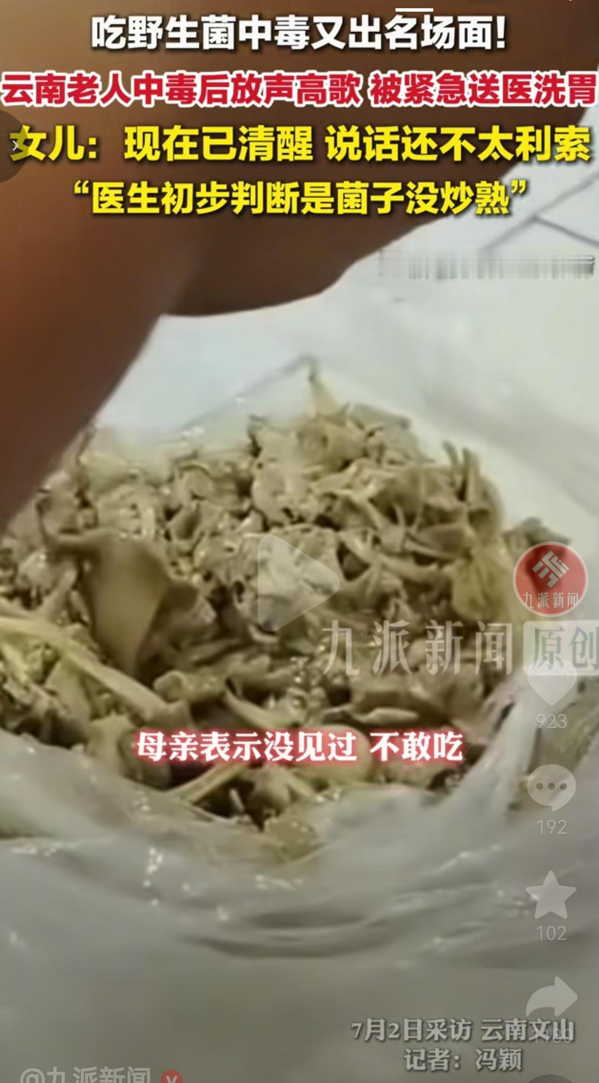 云南文山，当地一位67岁大爷，趁着雨季上山闲逛，随手采摘了一堆从没见过的黄色野生