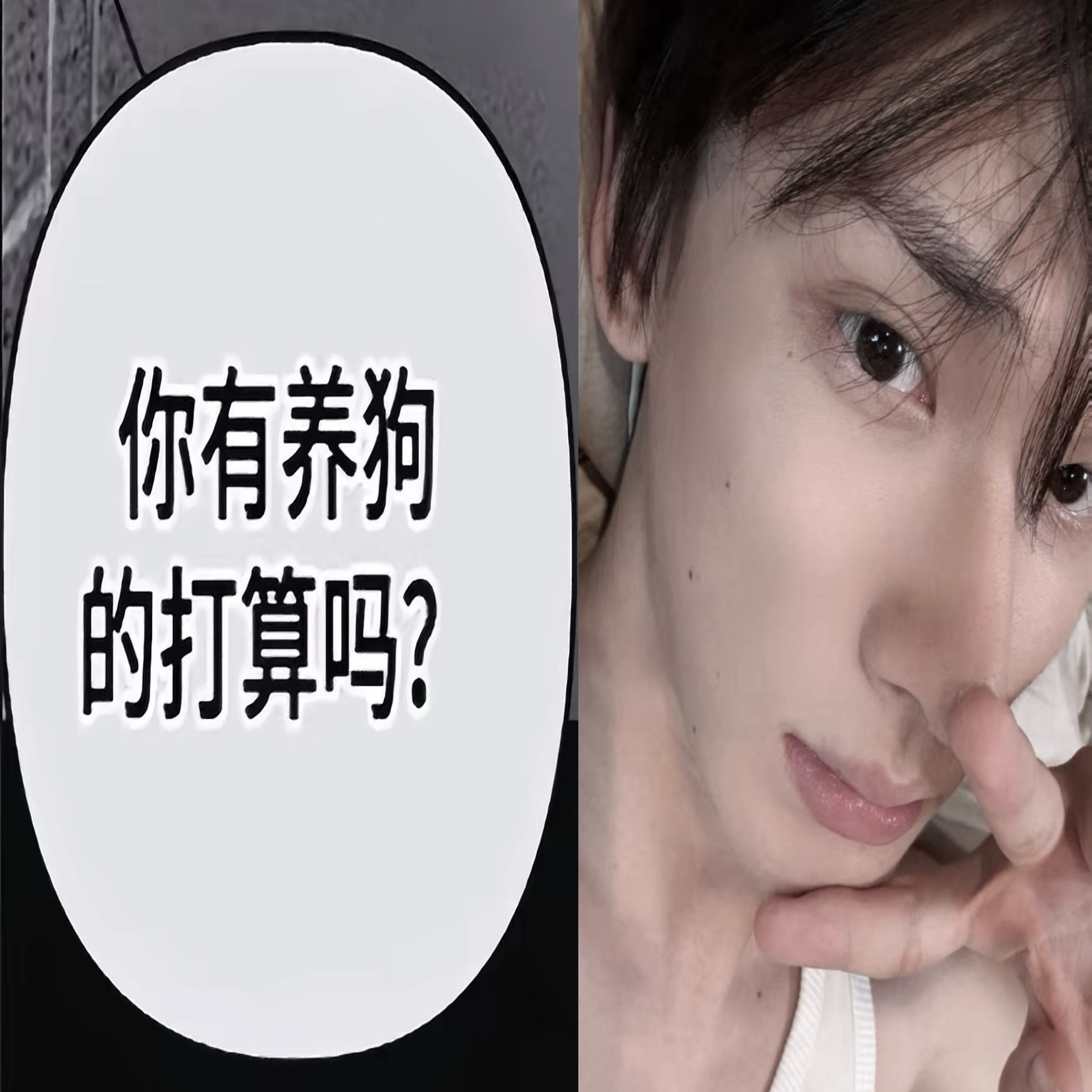 有的有的 ​​​