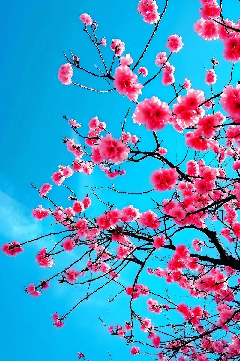 美国靠自身力量很难限制中国发展，因此会联合盟友一起牵制中国。例如经常鼓动日本挑衅